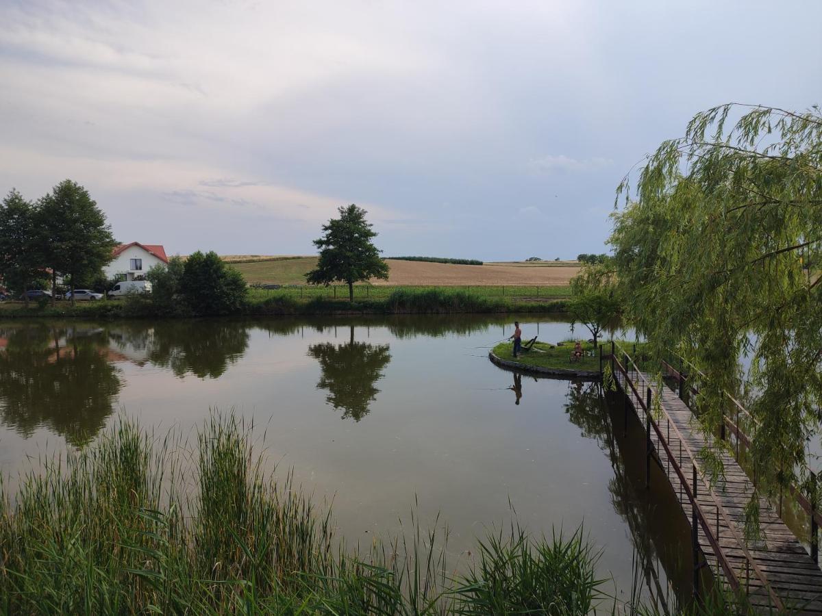 Farm stay Agrowczasy Nad Stawem