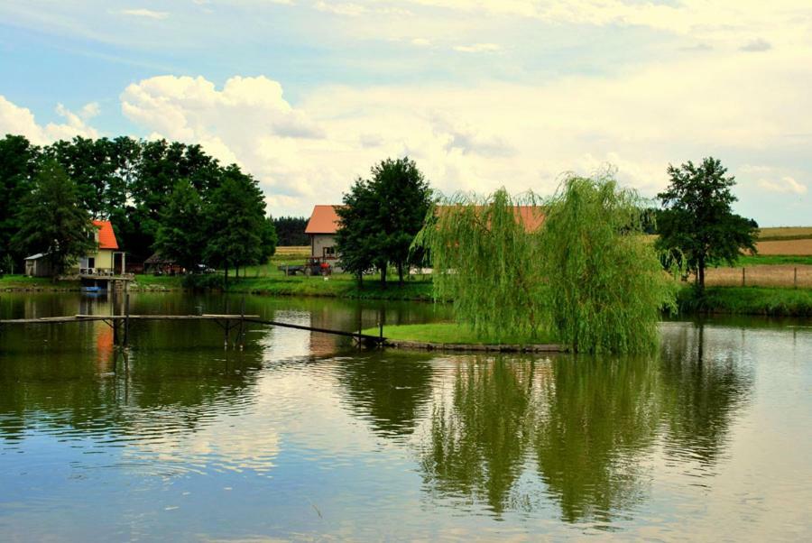 Agrowczasy Nad Stawem Farm stay