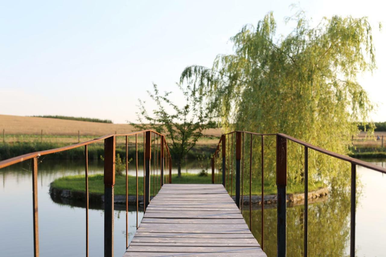 Agrowczasy Nad Stawem Farm stay *