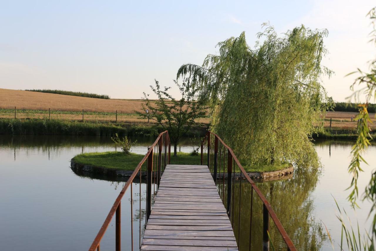 Farm stay Agrowczasy Nad Stawem