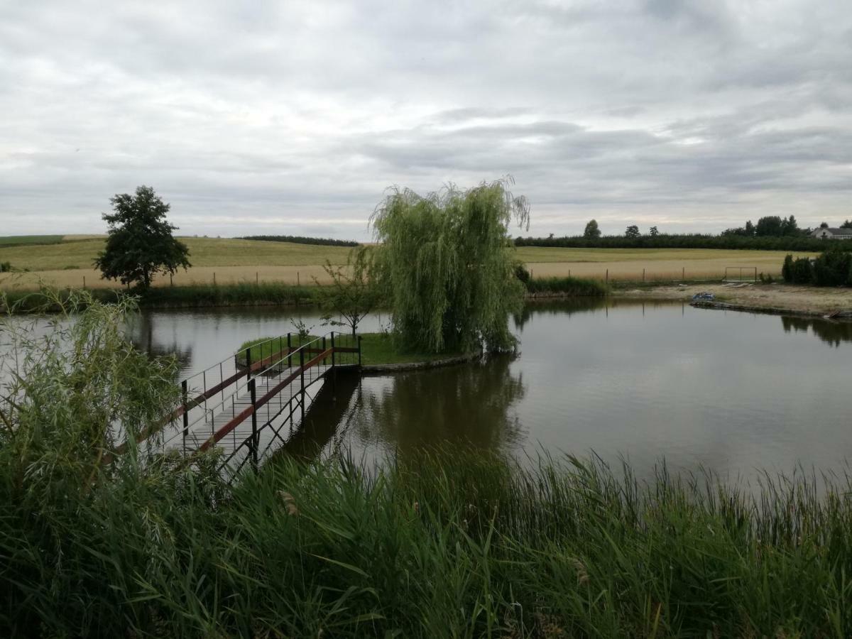 Agrowczasy Nad Stawem * Gartatowice