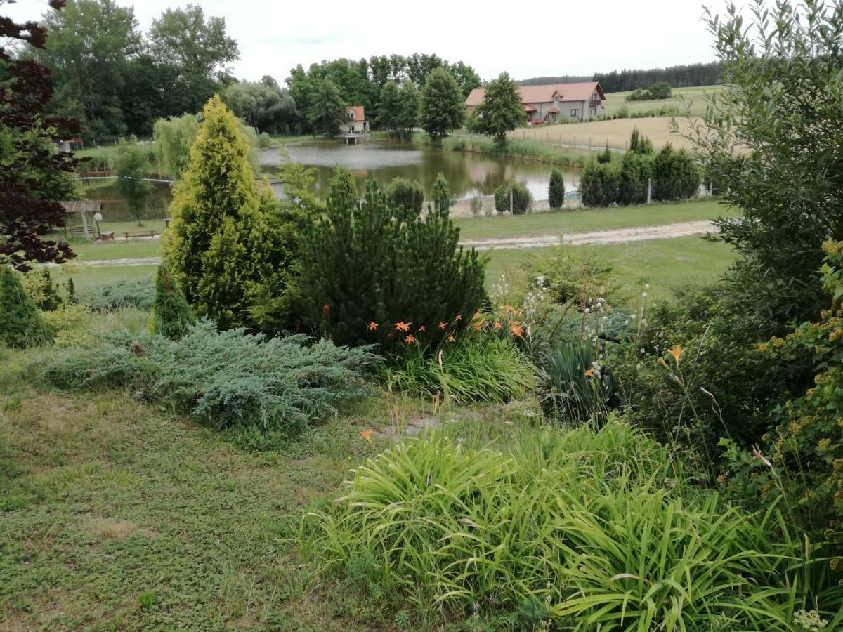 Agrowczasy Nad Stawem * Gartatowice